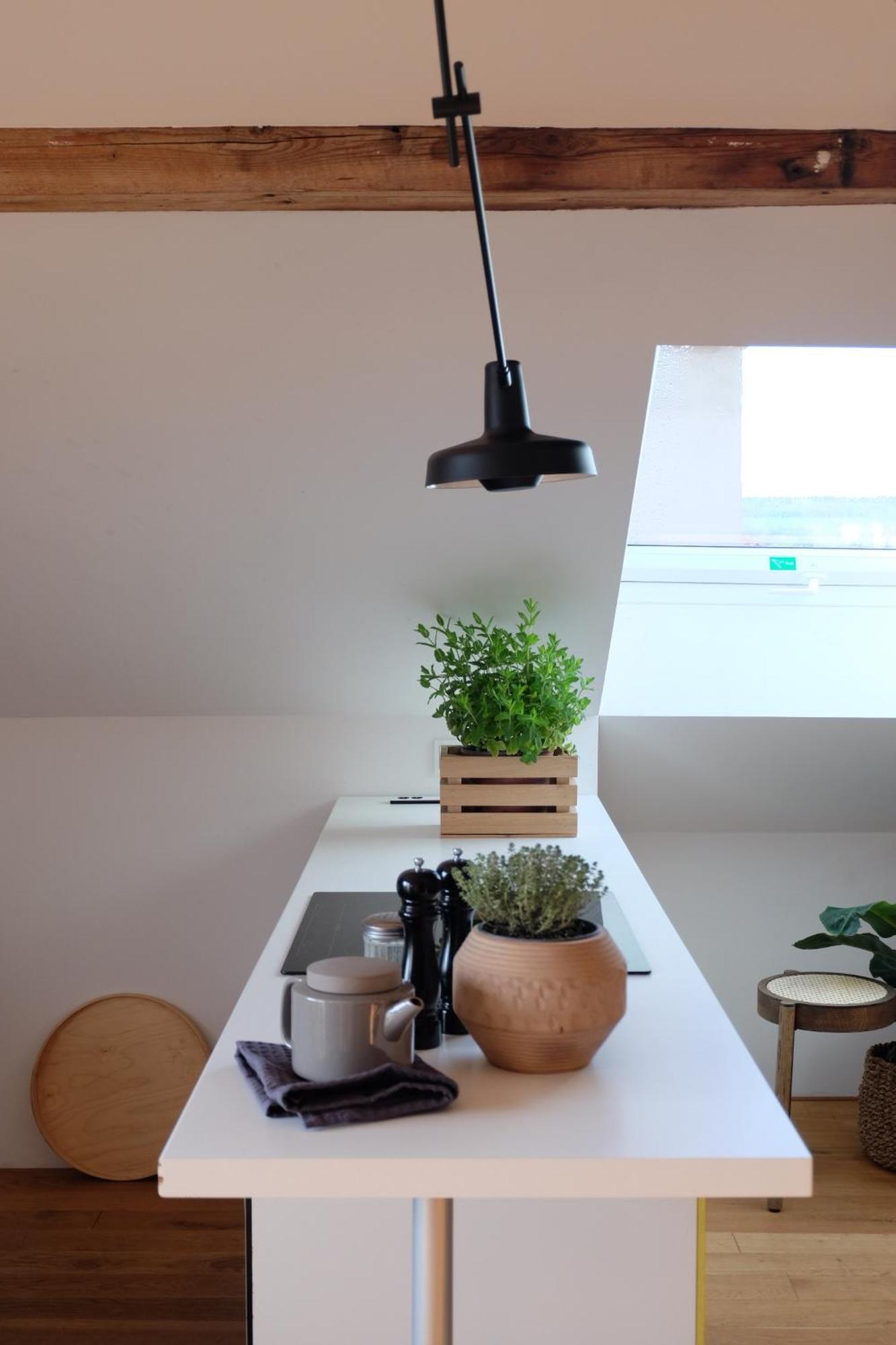 וויימר Design Apartments "Hier War Goethe Nie" מראה חיצוני תמונה